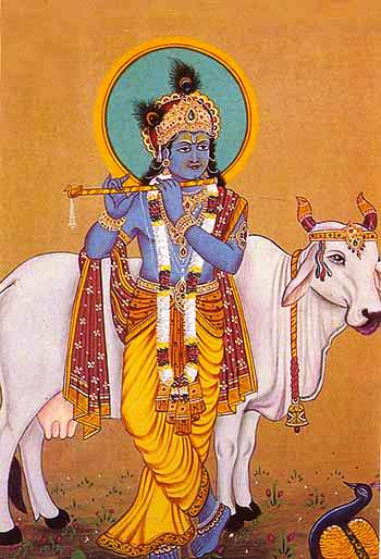 Krishna with the divine white cow Krishna with the divine white cow